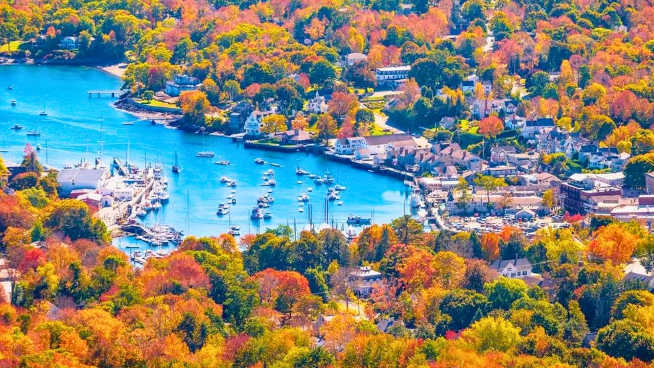 Maine Fall Foliage Road Trip 🍁 | Explore Stunning Colors & Scenic Views