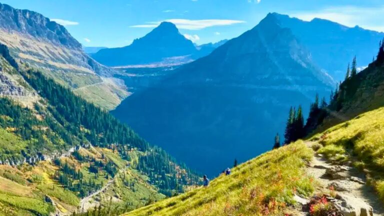 Glacier National Park Travel Guide 🏞️ | Must-See Spots in the Crown of the Continent