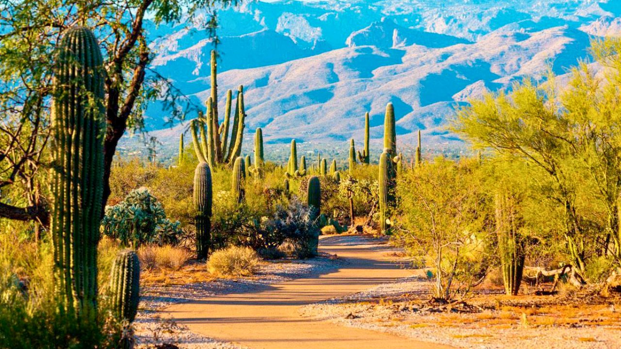 Epic American Southwest Road Trip 🚗 | Must-See National Parks & Scenic Drives