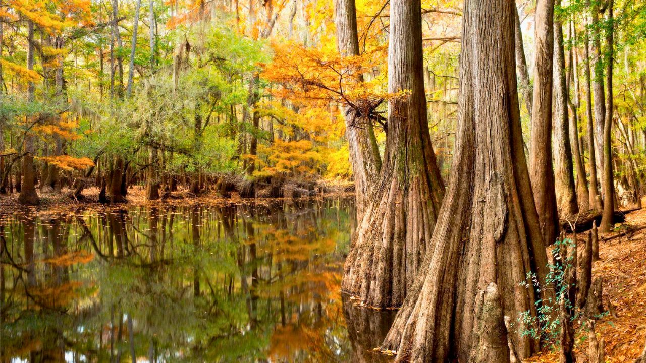 Top National Parks to Visit This Summer 🏞️ | Epic Adventures & Scenic Views Await