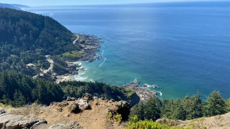 Best Hikes on the Oregon Coast 🌊 | Hidden Trails, Sea Cliffs & Coastal Forests