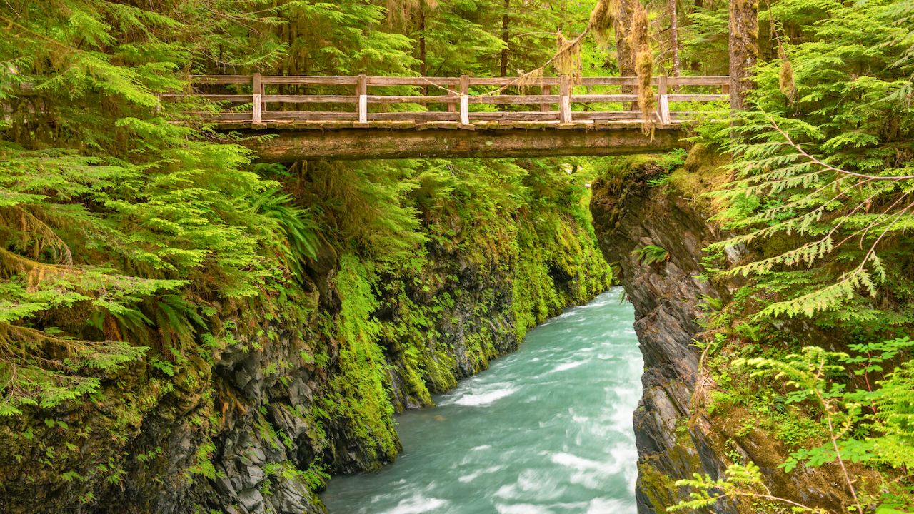 Top 10 Most Visited National Parks in the USA 🌲 | A Complete Travel Guide