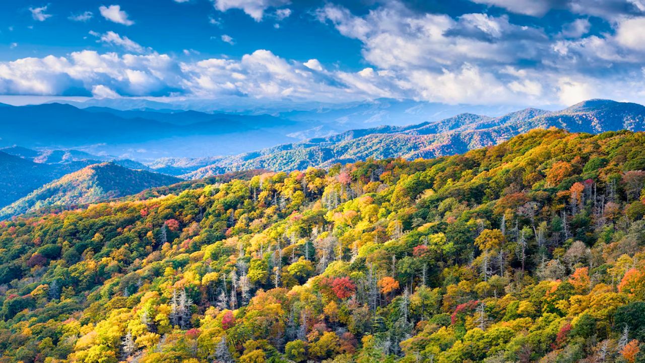 East Coast National Parks Road Trip 🚗 | Explore the Best Nature & History Spots