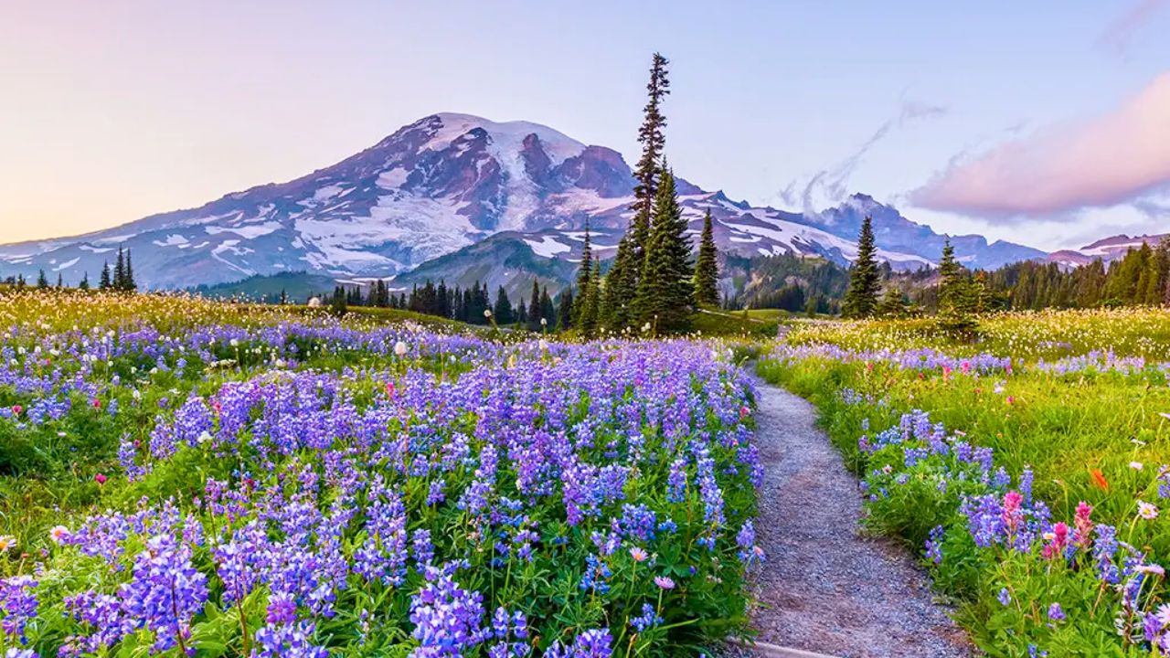 West Coast National Parks Road Trip 🌄 | Must-See Stops on Your Epic Adventure