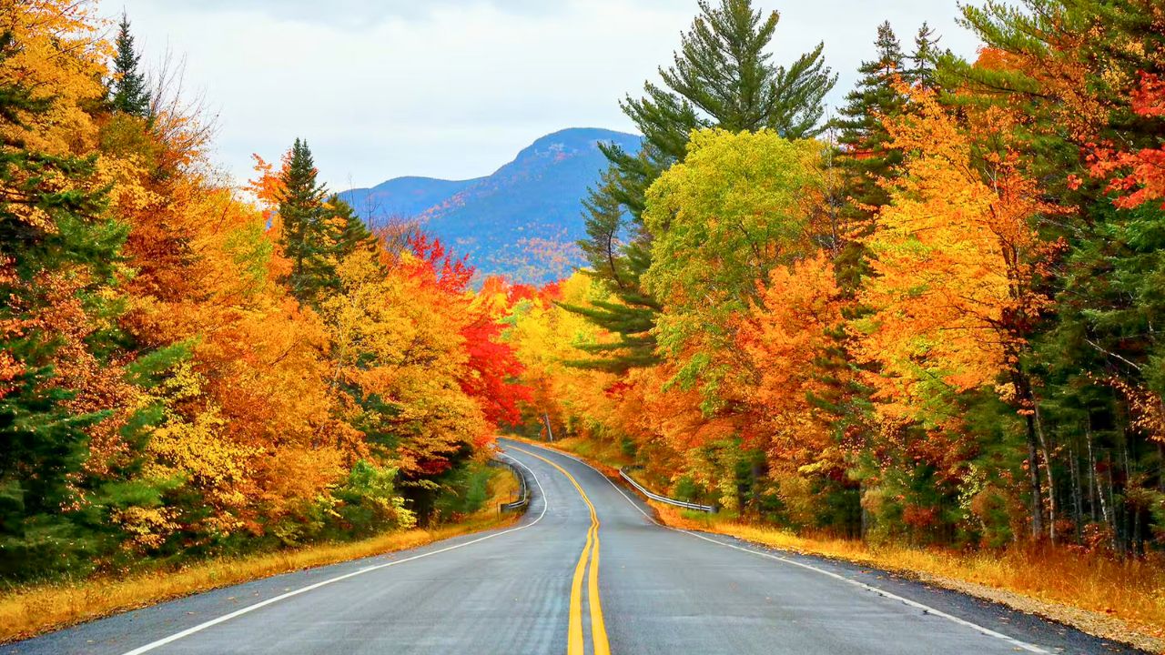7-Day New England Fall Foliage Road Trip 🍂 | Scenic Drives & Must-See Stops